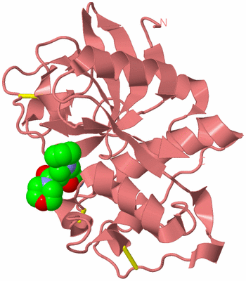 Image Biological Unit 8