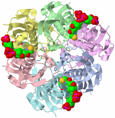 Image Biological Unit 1