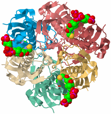 Image Biological Unit 2