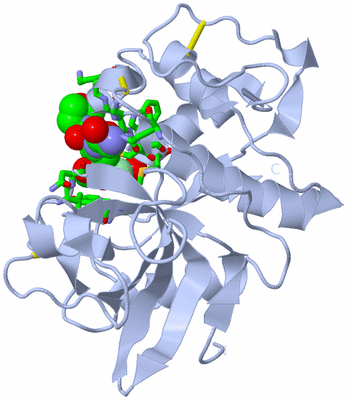 Image Biol. Unit 1 - sites