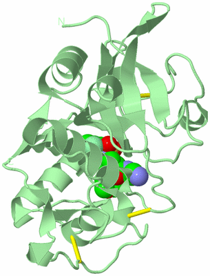 Image Biological Unit 2