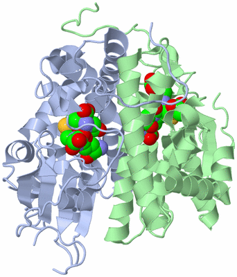 Image Asym./Biol. Unit