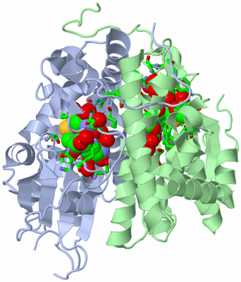 Image Asym./Biol. Unit - sites