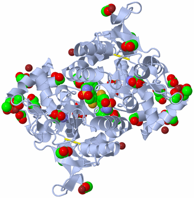 Image Biological Unit 1