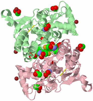 Image Biological Unit 2