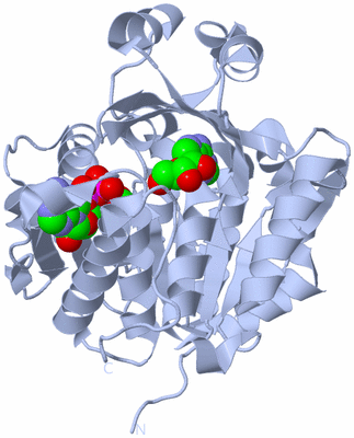 Image Biological Unit 1