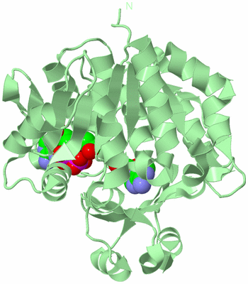 Image Biological Unit 2