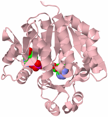 Image Biological Unit 3