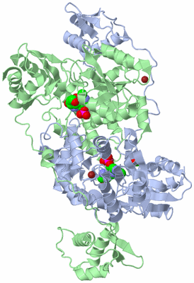 Image Biological Unit 1