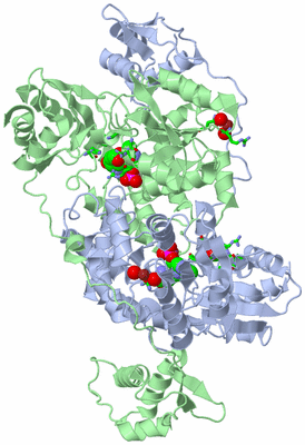 Image Biol. Unit 1 - sites