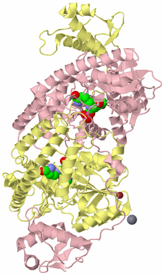 Image Biological Unit 2