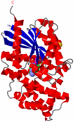 Image Asym./Biol. Unit