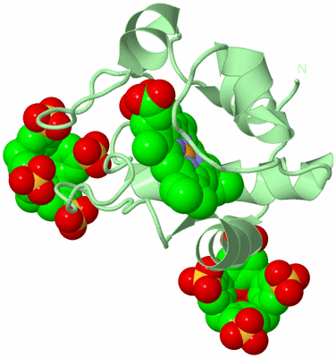 Image Biological Unit 2