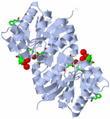 Image Biol. Unit 1 - sites