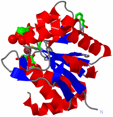 Image Asym. Unit - sites