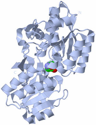 Image Biological Unit 1