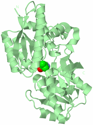 Image Biological Unit 2