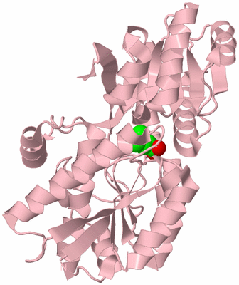 Image Biological Unit 3