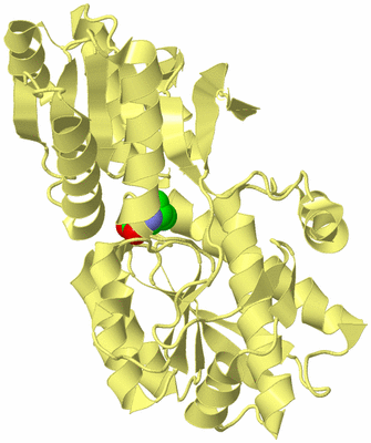 Image Biological Unit 4