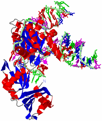 Image Asym./Biol. Unit