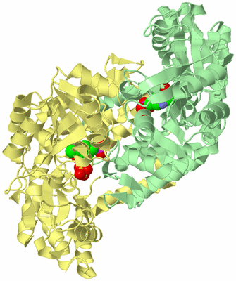 Image Biological Unit 2