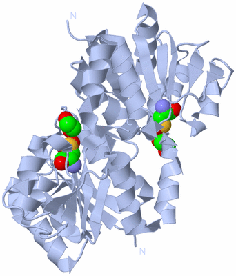 Image Biological Unit 1