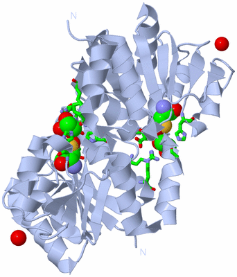 Image Biol. Unit 1 - sites