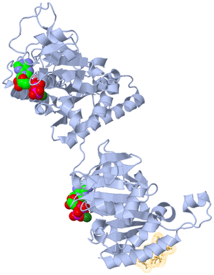 Image Biological Unit 1