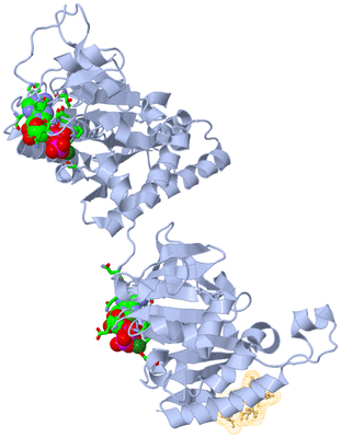 Image Biol. Unit 1 - sites