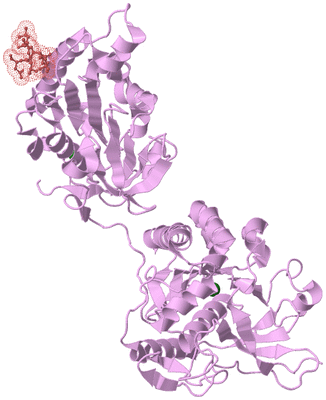 Image Biological Unit 3