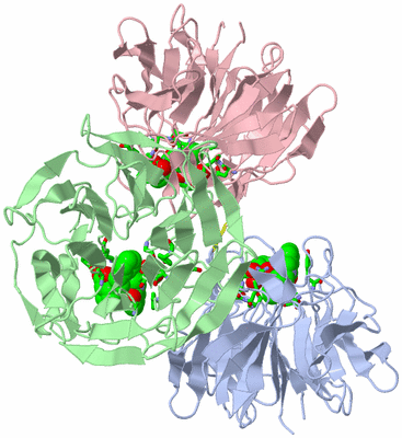 Image Asym./Biol. Unit - sites