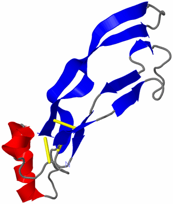 Image Asymmetric Unit