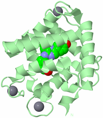 Image Biological Unit 2