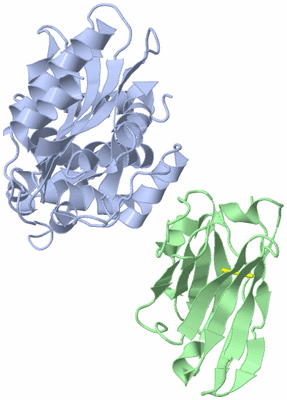 Image Biological Unit 1