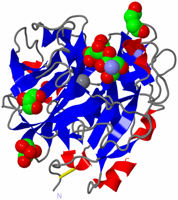 Image Asym./Biol. Unit