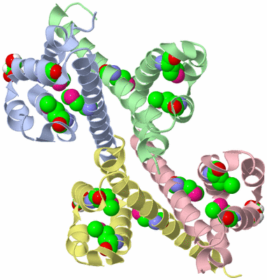 Image Asymmetric Unit