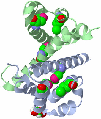 Image Biological Unit 1
