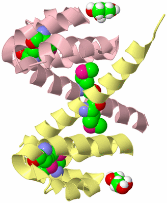 Image Biological Unit 2