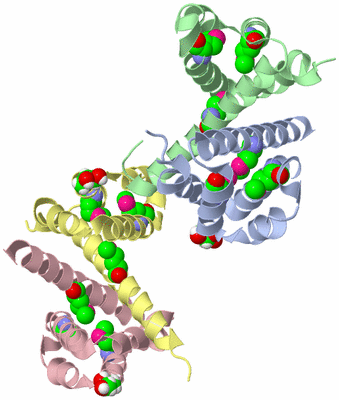 Image Biological Unit 3