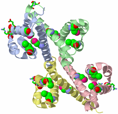 Image Asym. Unit - sites