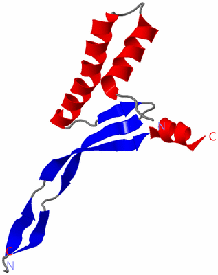 Image Asymmetric Unit