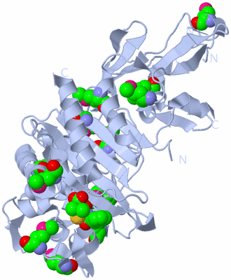 Image Biological Unit 1