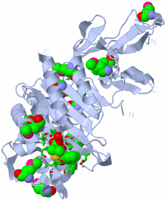 Image Biol. Unit 1 - sites