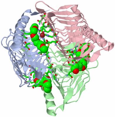 Image Biol. Unit 1 - sites