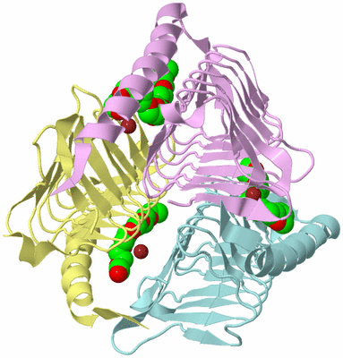 Image Biological Unit 2