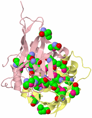 Image Biological Unit 10