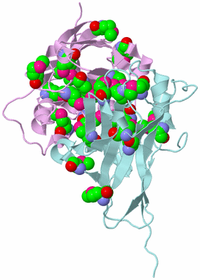 Image Biological Unit 11