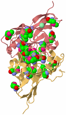 Image Biological Unit 12