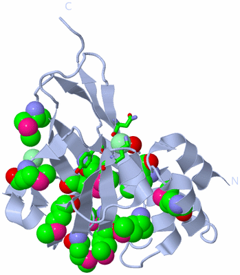 Image Biol. Unit 1 - sites