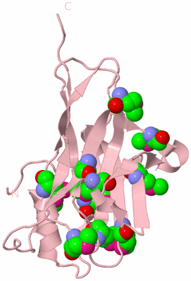 Image Biological Unit 3